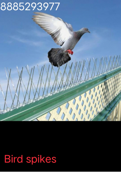 Cover photo of Lakshmi Bird Spikes -Balcony Safety Nets in Hyderabad |Anti Bird nets| Sports Nets Cricket Nets |Pigeon Nets in Hyderabad